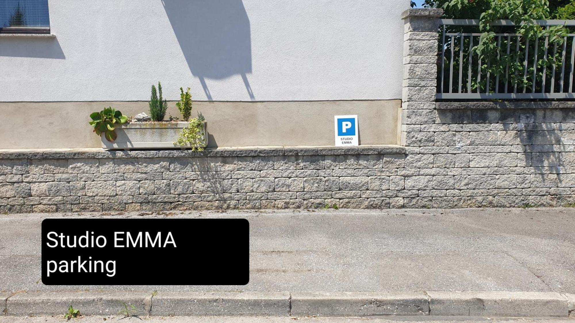 Studio Emma Ljubljana - Free Parking, Ac, Wifi Kültér fotó